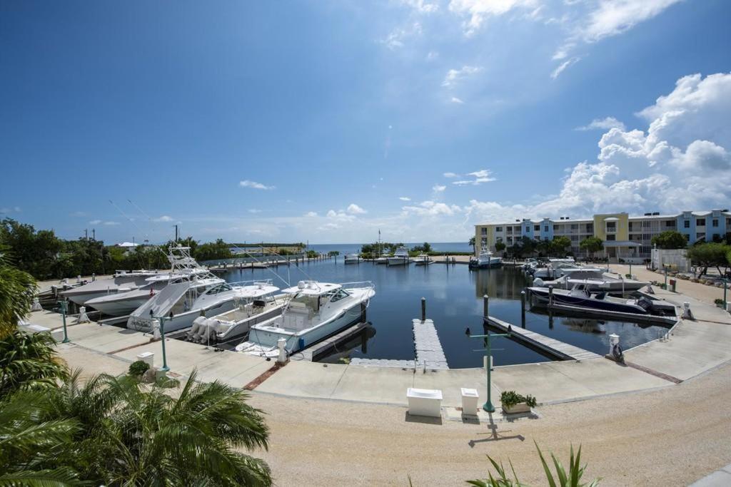Licensed Mgr - 3/3.5 Modern Villa - Key Largo'S Premier Oceanfront Resort And Marina! Kültér fotó
